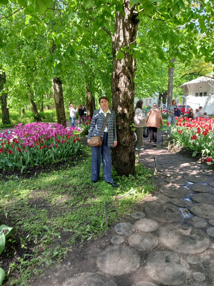  51749643  , 59 ,    -