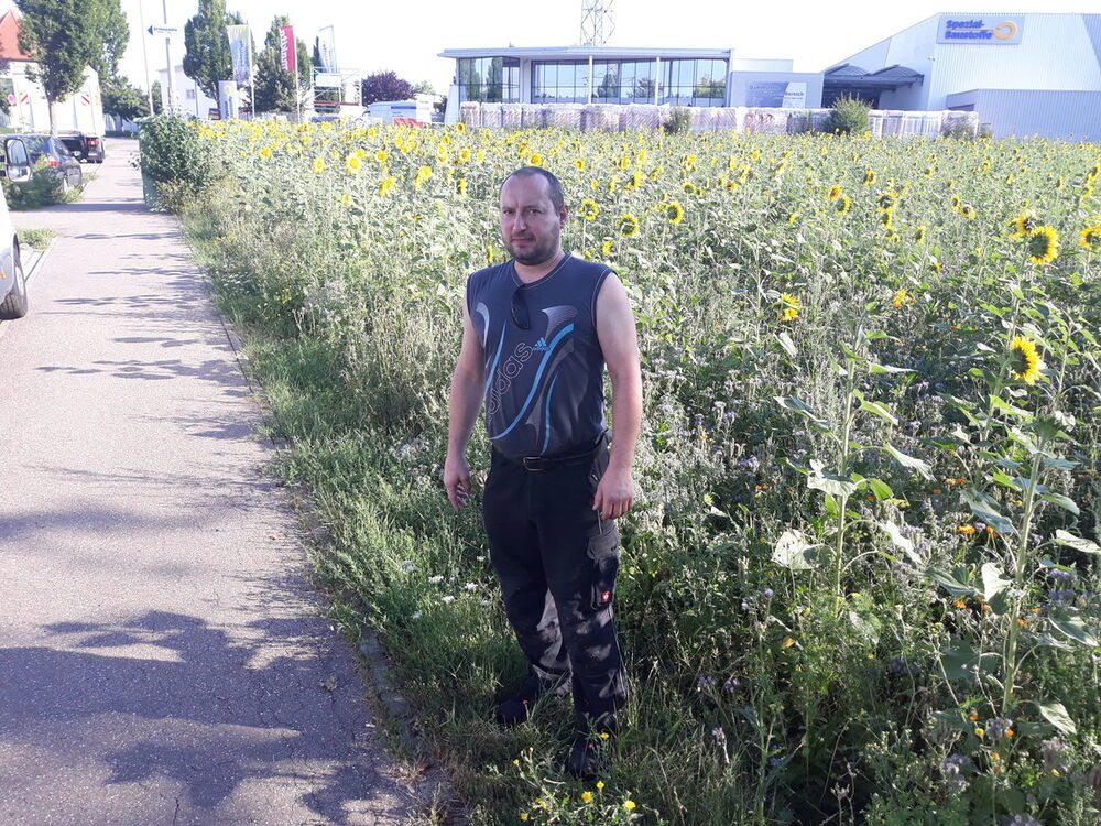  12936163  Oleg, 43 ,    Stuttgart