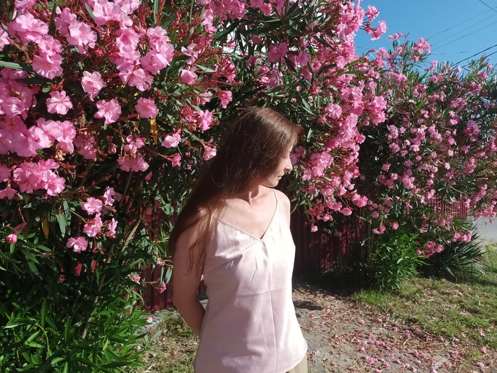 ���������� ���������, ���� ������� �����, 42 ����, ������������ ��� ����� � ���������, c�������� ���������