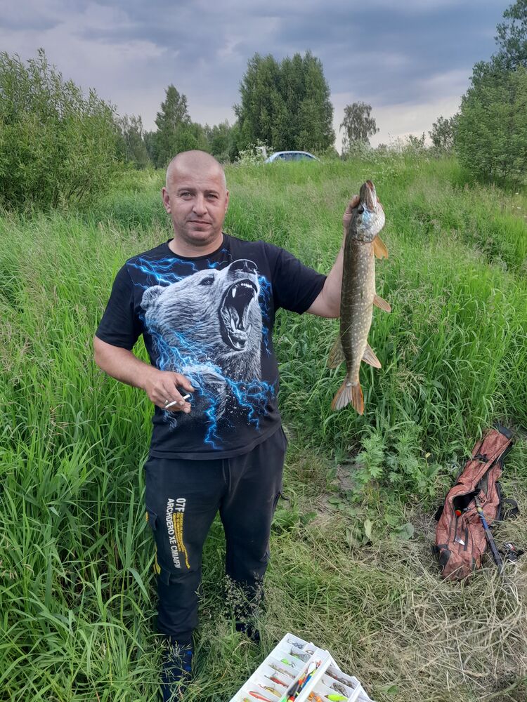 ���� 44519873 ������� �������, 44 ����, ���� ���������� � ������