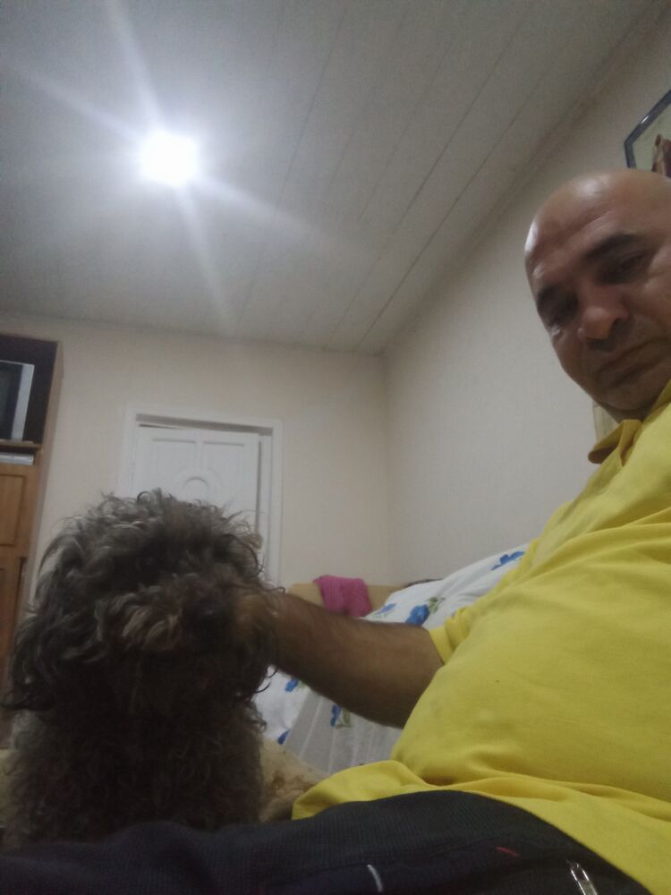 ���� 24491553 ������� Azad, 49 ���, ���� ���������� � ����