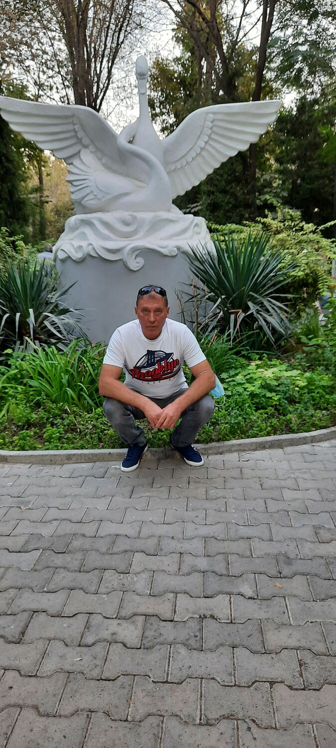 ���� 25498533 ������� ����, 54 ����, ���� ���������� � ��������