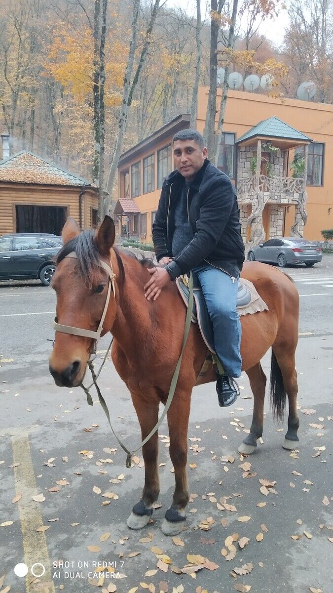 ���������� ����, ���� ������� Zaur, 42 ����, ������������ ��� ������, ����� � ���������, c�������� ���������