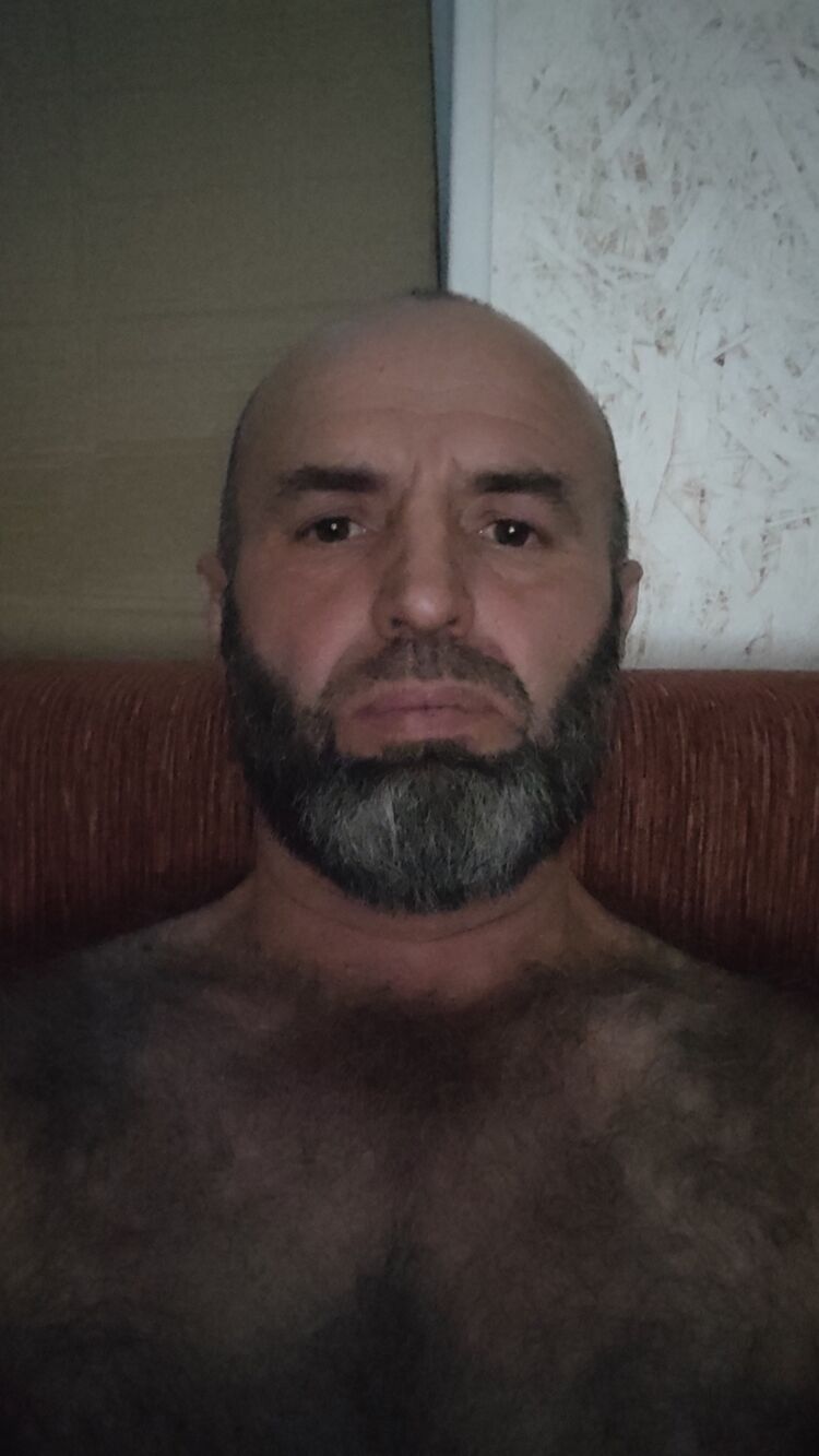  36816233  , 51 ,    