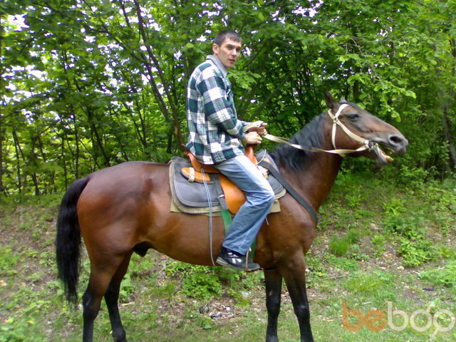 ���������� ����, ���� ������� ���������, 39 ���, ������������ ��� ������, ����� � ���������, c�������� ���������