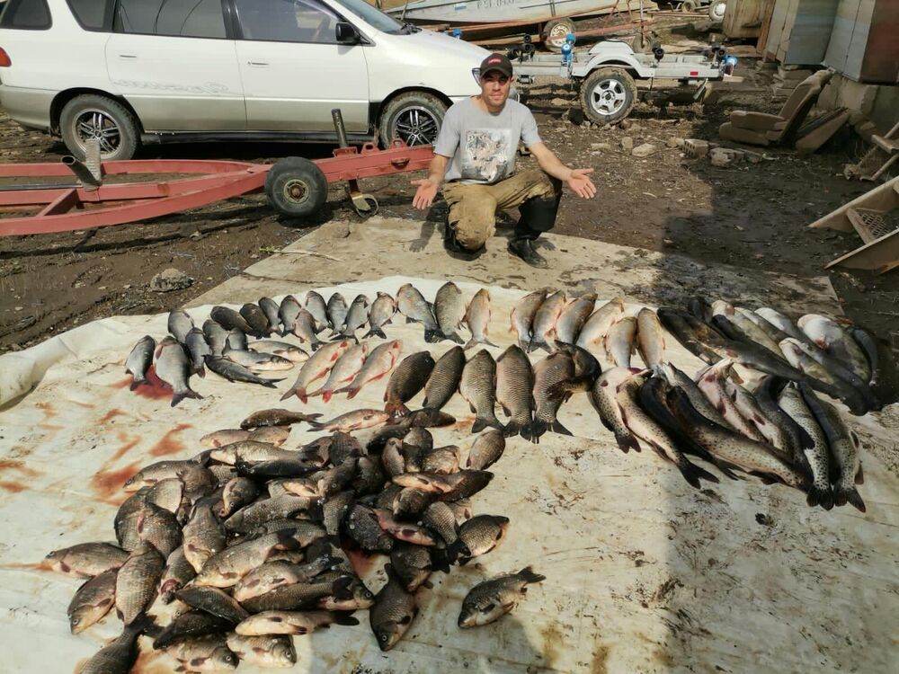 ���� 37785813 ������� ��������, 35 ���, ���� ���������� � ����������