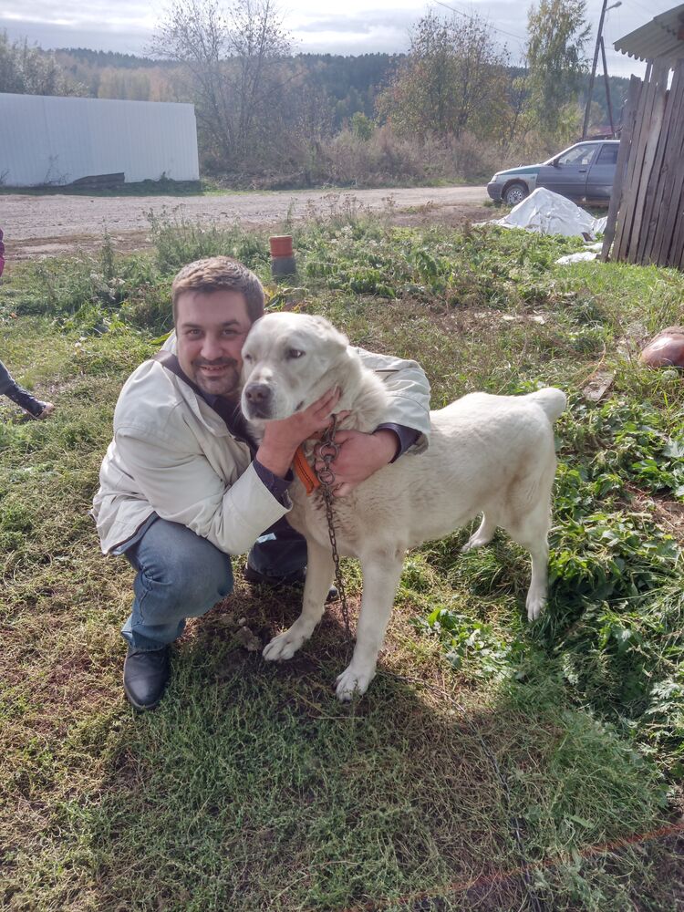  37845063  Stanislav, 43 ,    -