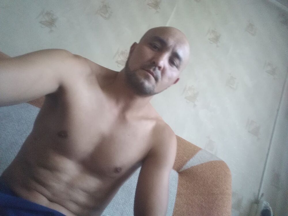 16950033  , 41 ,    