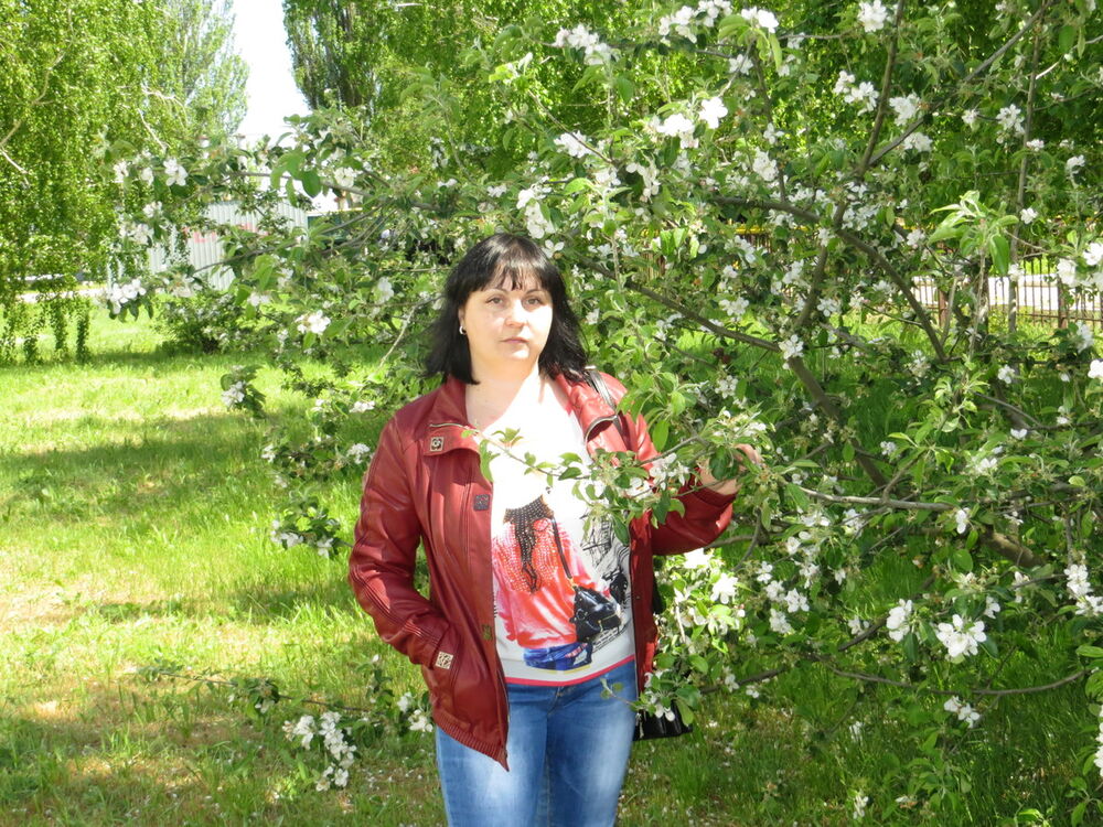 ���� 5995513 ������� ����, 46 ���, ���� ���������� � �����������