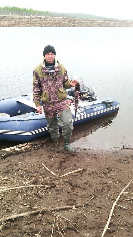  22460363  , 45 ,    