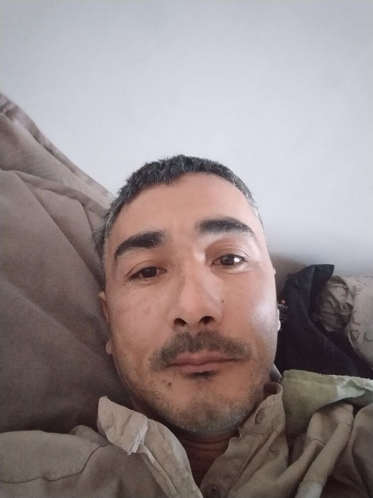 ���� 29297423 ������� Loxa, 43 ����, ���� ���������� � ��������