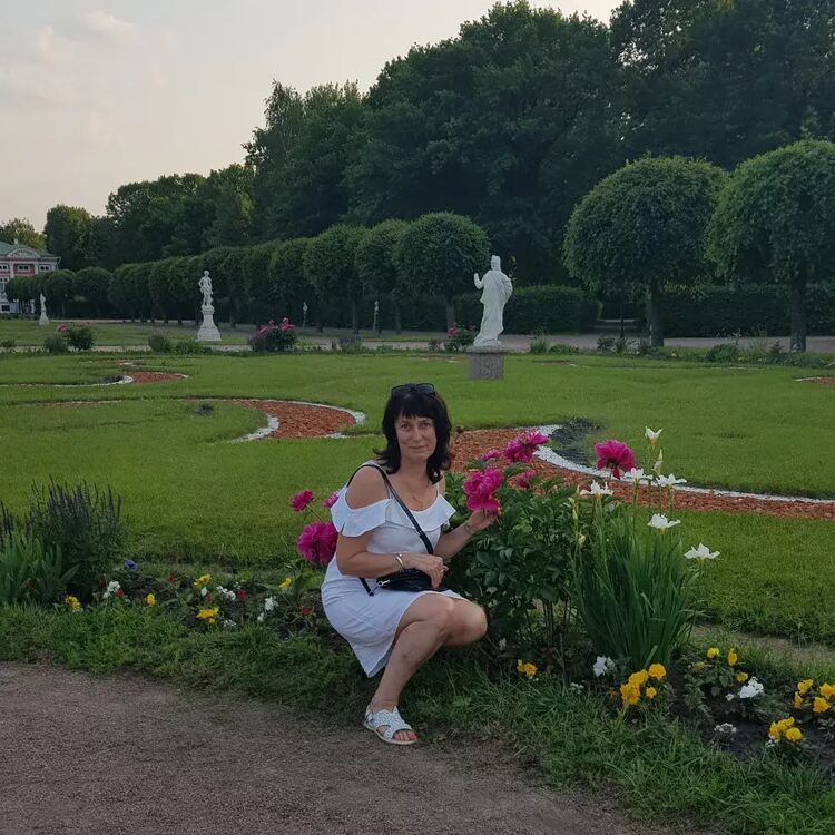 ,   , 53 ,   c 