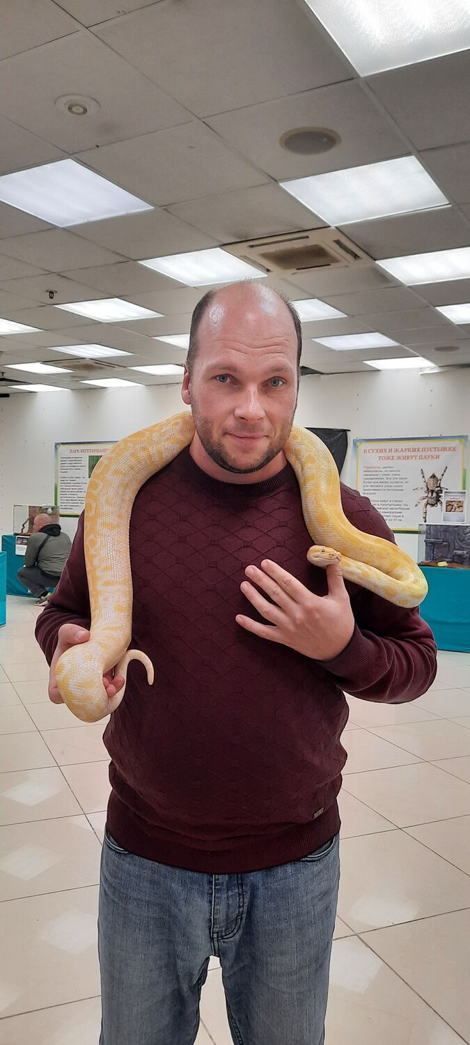 ���� 49763973 ������� Alex, 38 ���, ���� ���������� � �����