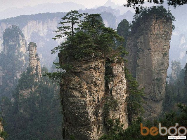 ���� 341573 ������� ������, 41 ���, ���� ���������� � ������