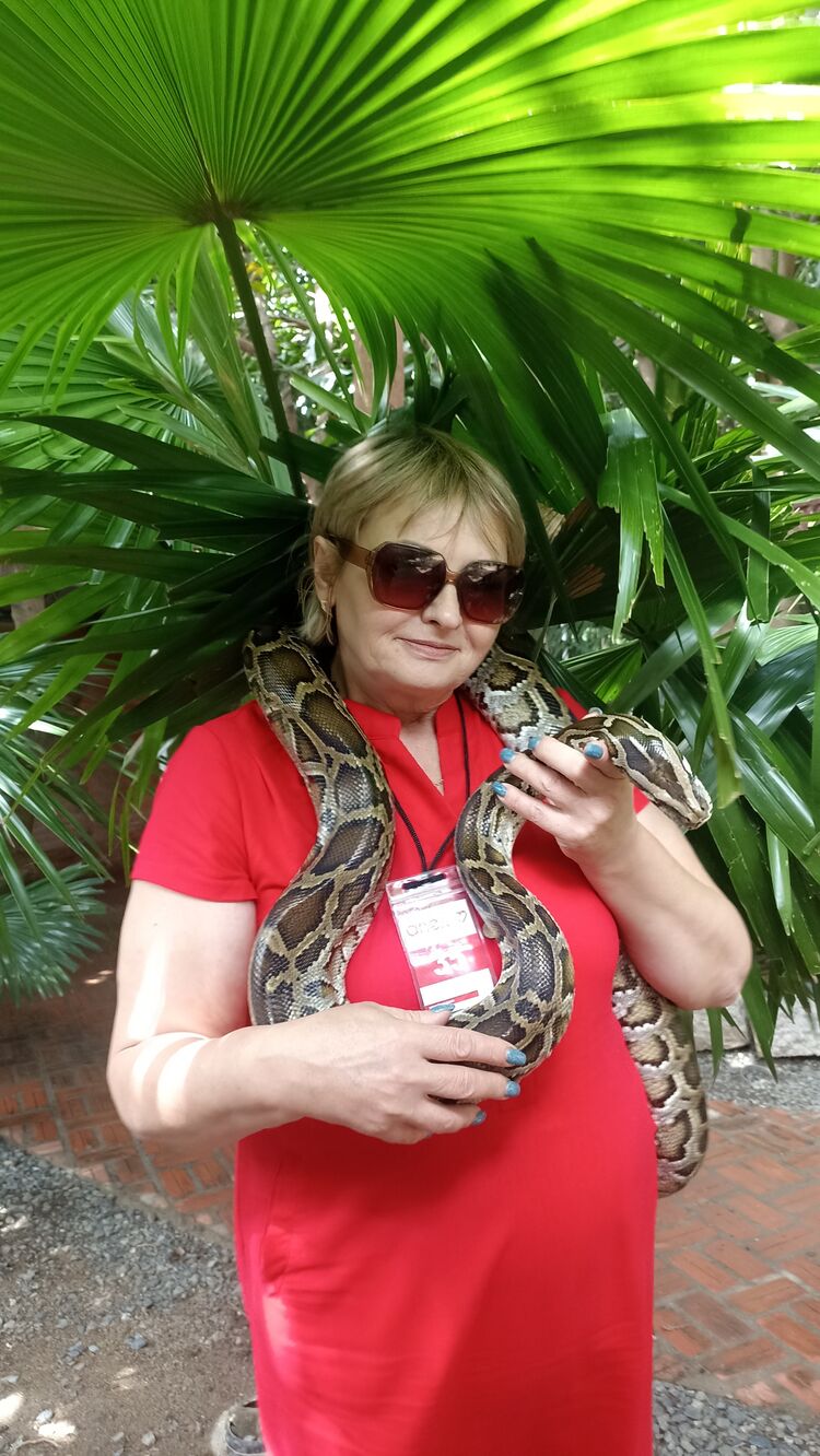 ���������� ������������, ���� ������� ������, 55 ���, ������������ ��� ������, ����� � ���������