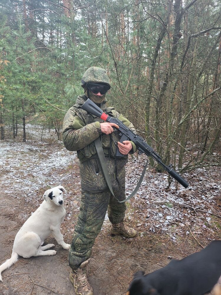 ���������� ���������, ���� ������� ���������, 29 ���, ������������ ��� ������, ����� � ���������, c�������� ���������, ���������