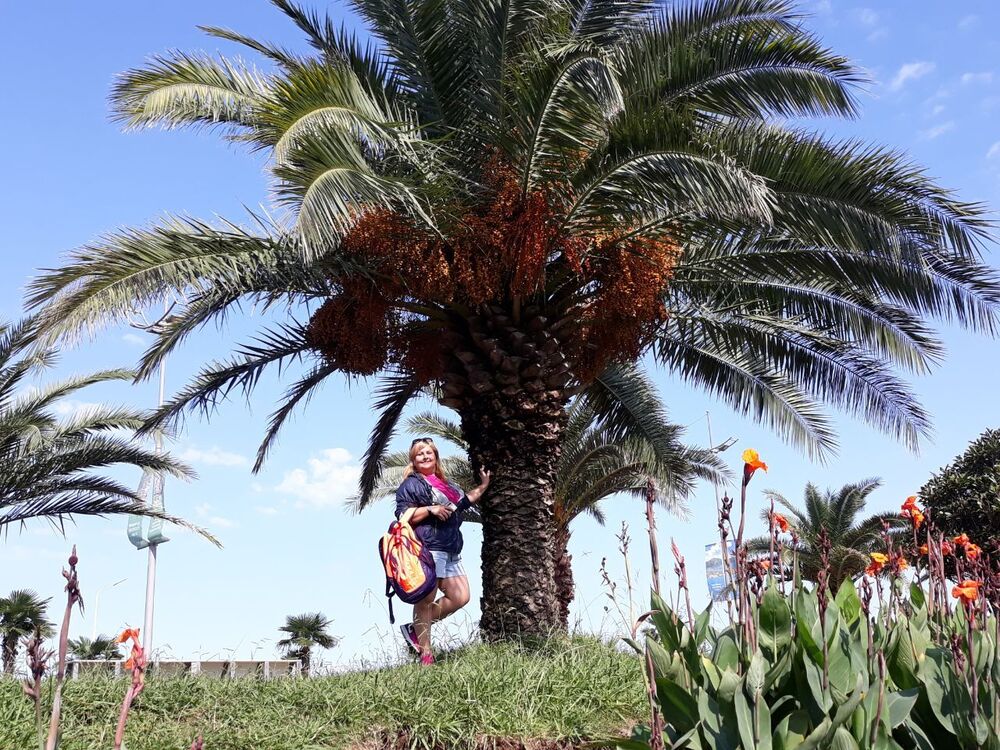 ���������� ����, ���� ������� �����, 44 ����, ������������ ��� ������, ����� � ���������, c�������� ���������