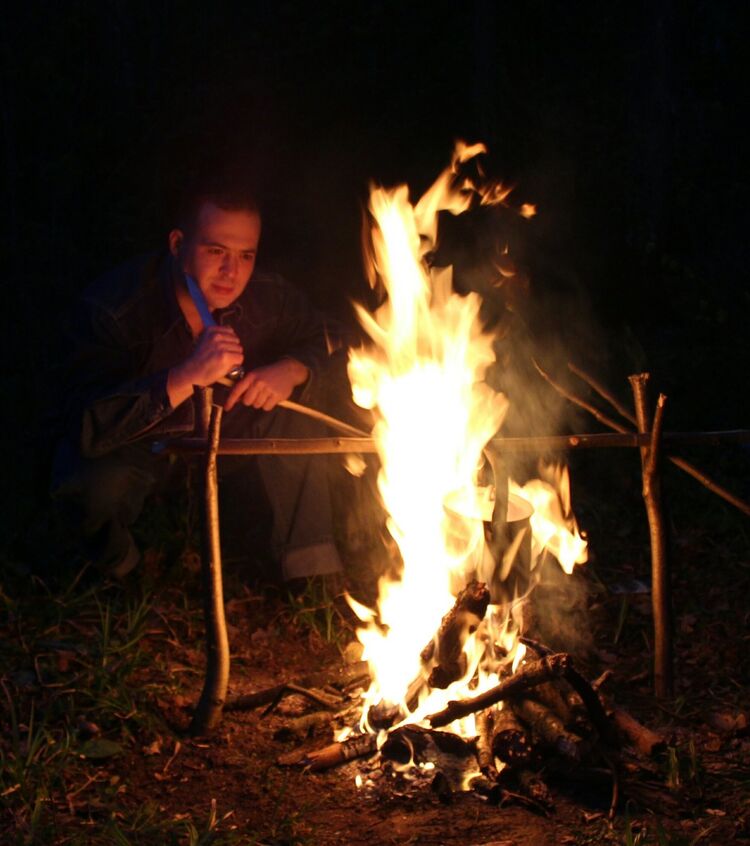 ���� 6057293 ������� Basile, 42 ����, ���� ���������� � ������-���