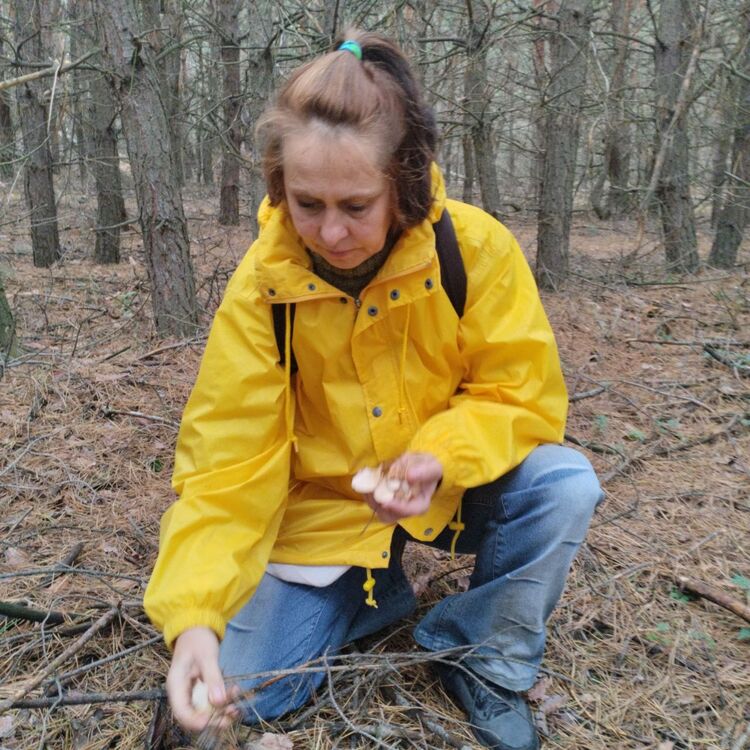 ���� 41656123 ������� �������, 53 ����, ���� ���������� � �����