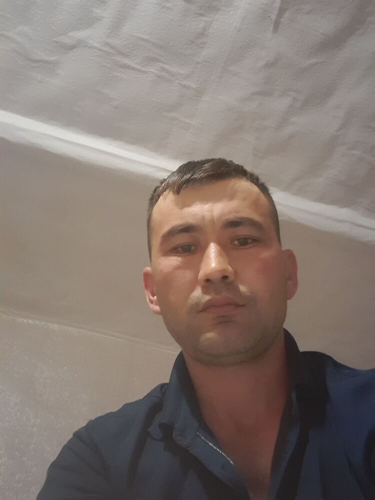  37951023  , 33 ,    -
