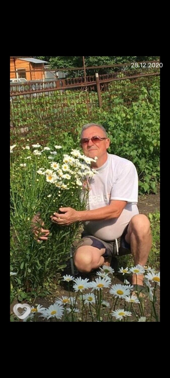 ���������� ����, ���� ������� ������, 66 ���, ������������ ��� ������, ����� � ���������, c�������� ���������