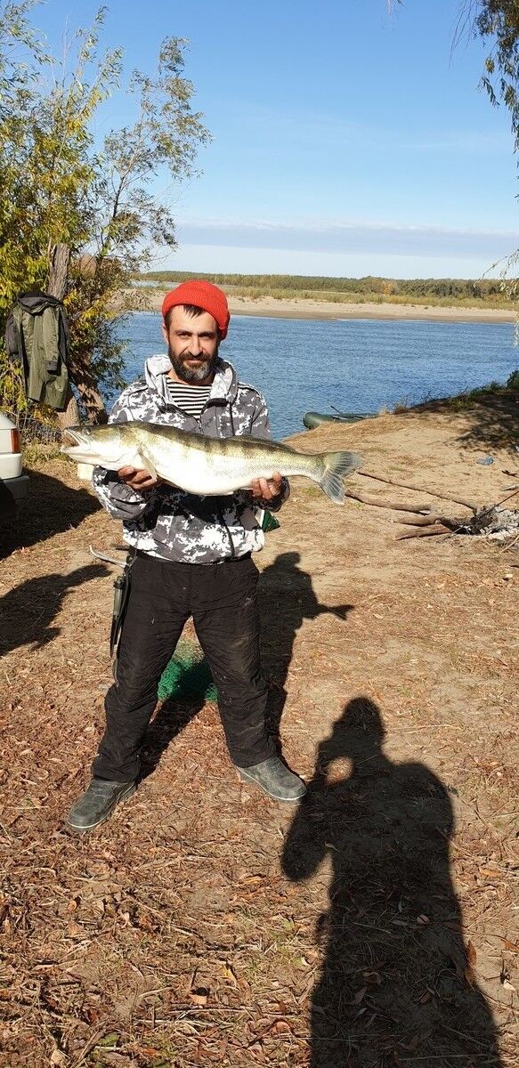 ���������� ������, ���� ������� �����, 37 ���, ������������ ��� ������