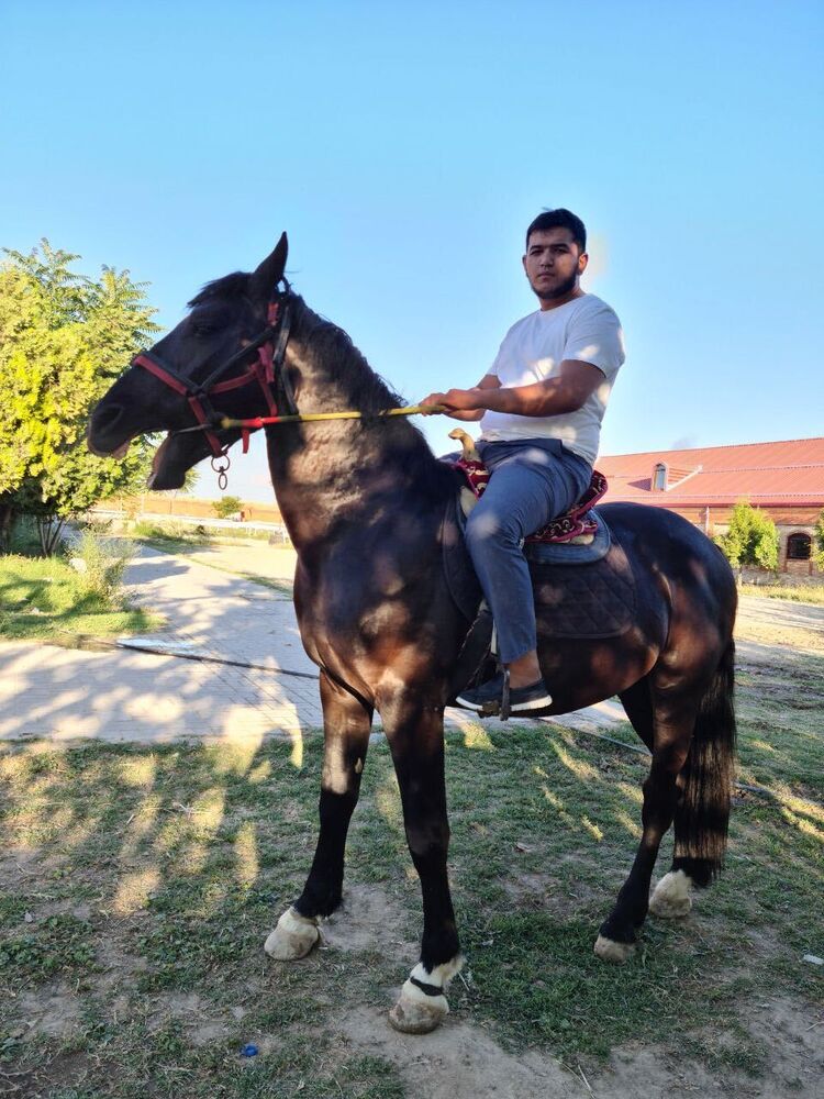  ,   Begzod, 25 ,   ,   
