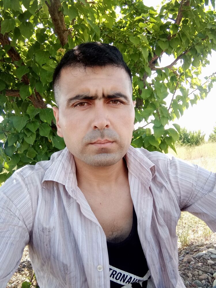  28696083  , 31 ,    