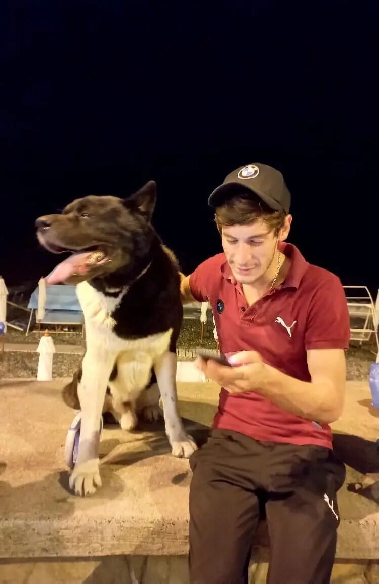 ���������� ����, ���� ������� ����, 29 ���, ������������ ��� ������, ����� � ���������