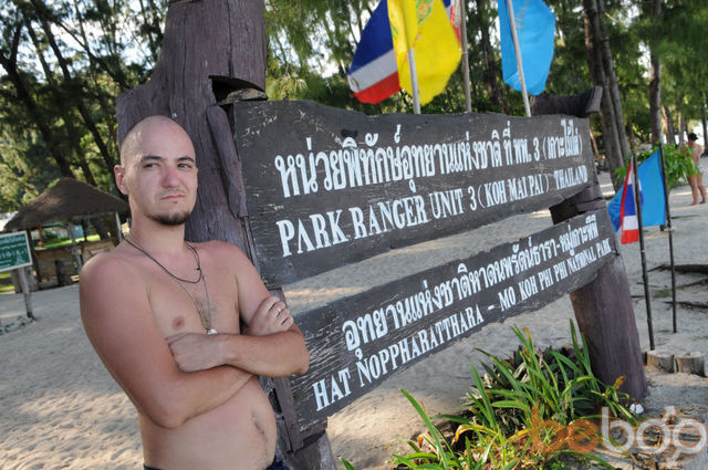 ���������� ������, ���� ������� White Shark, 42 ����, ������������ ��� ����� � ���������, c�������� ���������