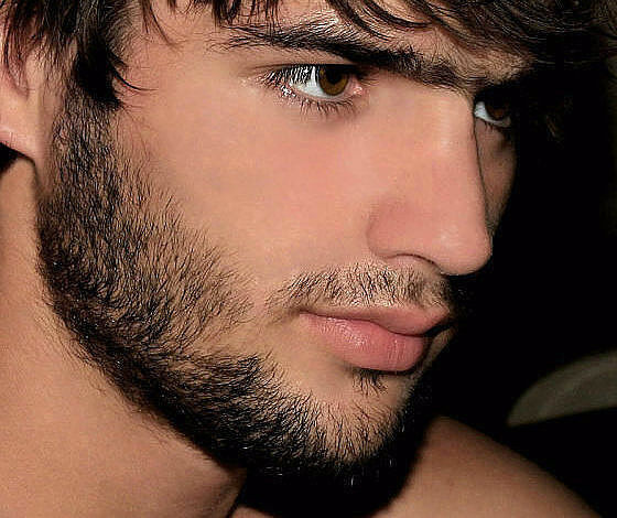 ���������� �����, ���� ������� David, 35 ���, ������������ ��� ������