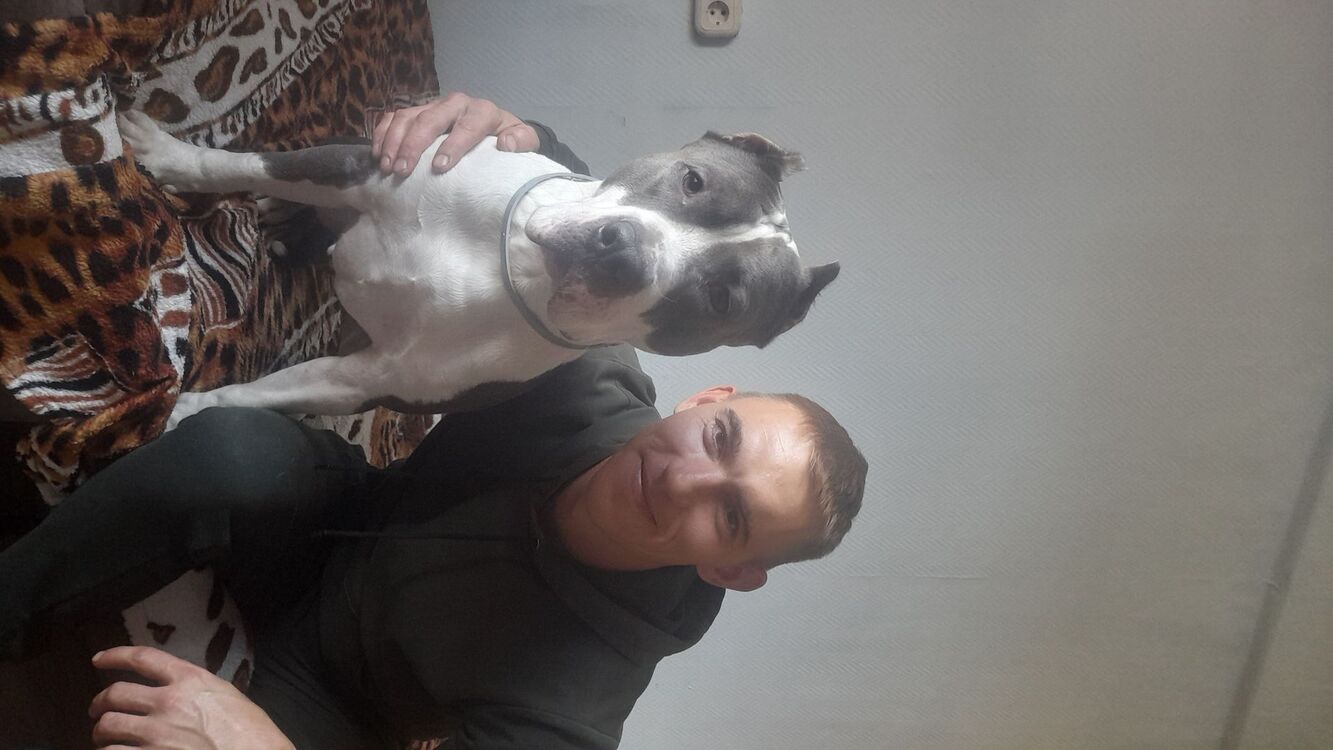 ���� 38450363 ������� ����, 34 ����, ���� ���������� � ����