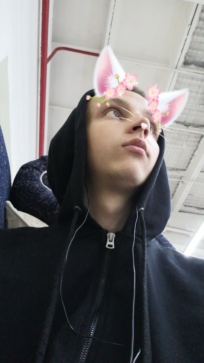 ���� 17906603 ����� Kotik, 24 ����, ���� ���������� � ������