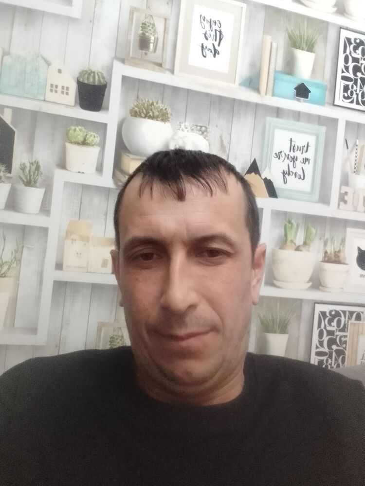  53782353  , 40 ,    