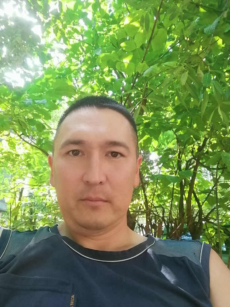  45666583  , 37 ,    