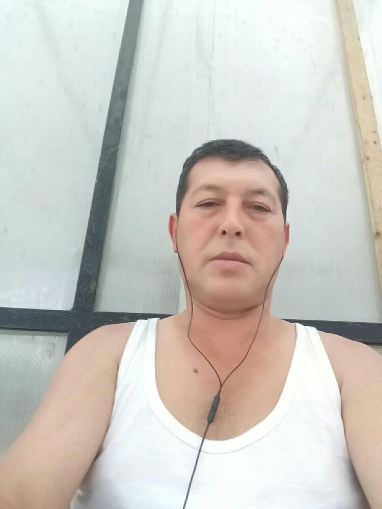  28491043  , 49 ,    