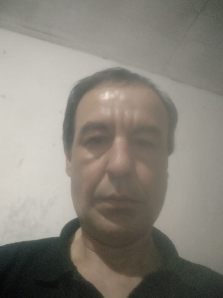  42026173   , 43 ,    