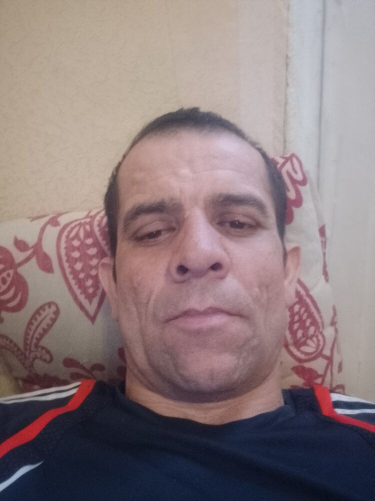  41263113  , 41 ,    