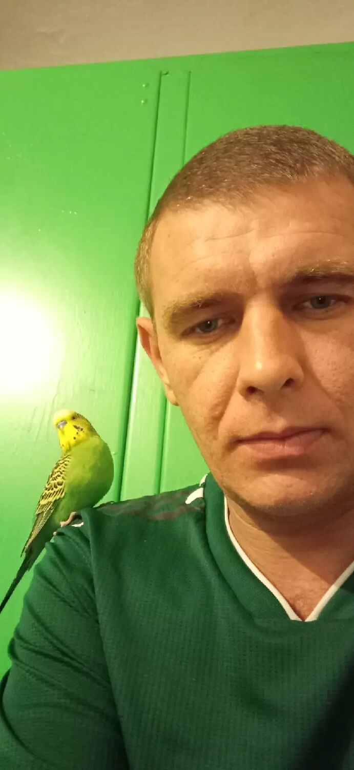  27540813  , 40 ,    --