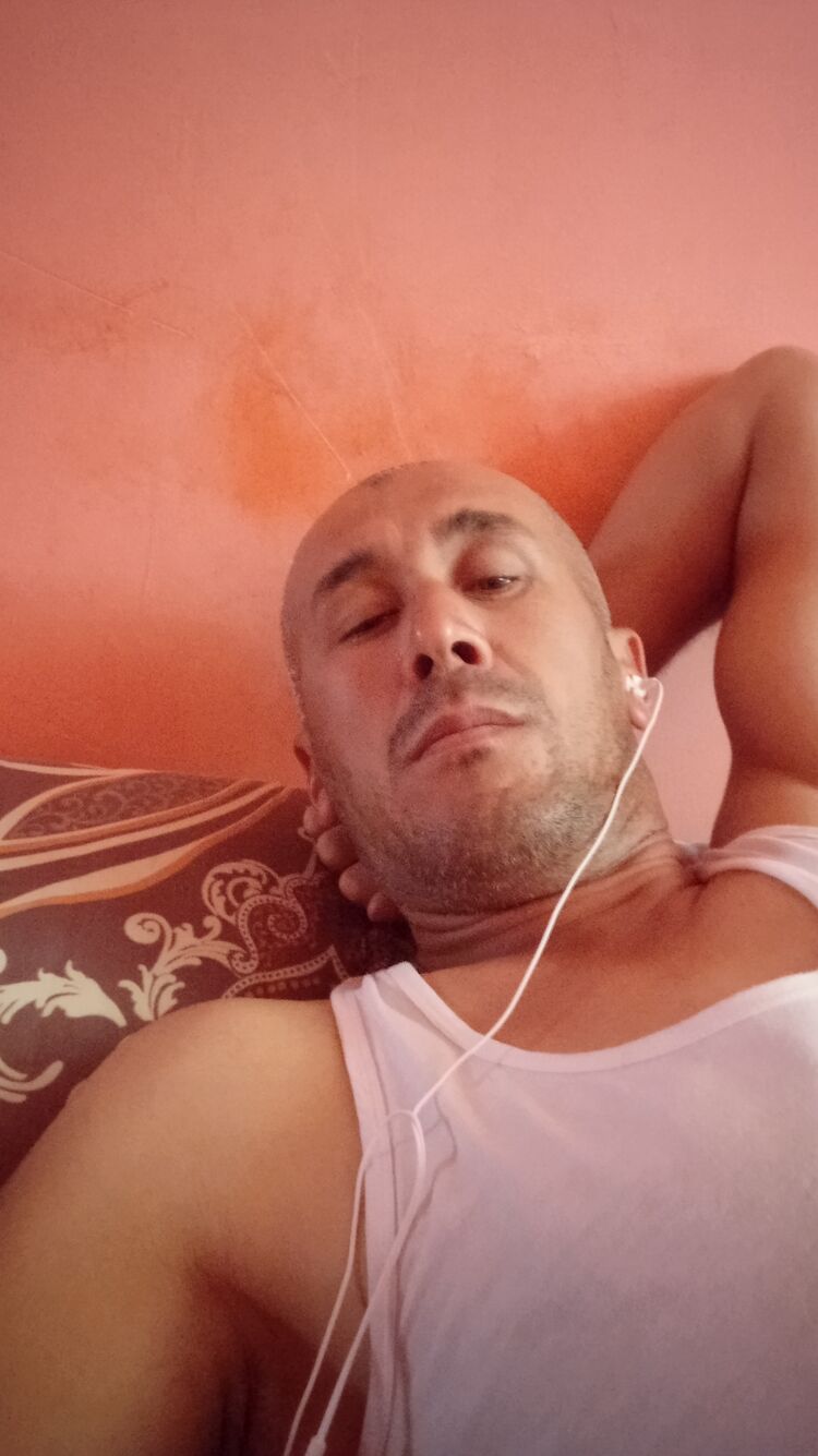  33558353  , 40 ,    