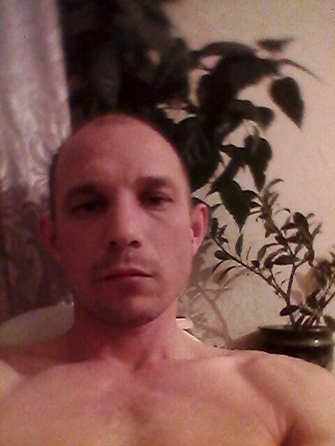 ���� 9499073 ������� ����, 44 ����, ���� ���������� � ��������������