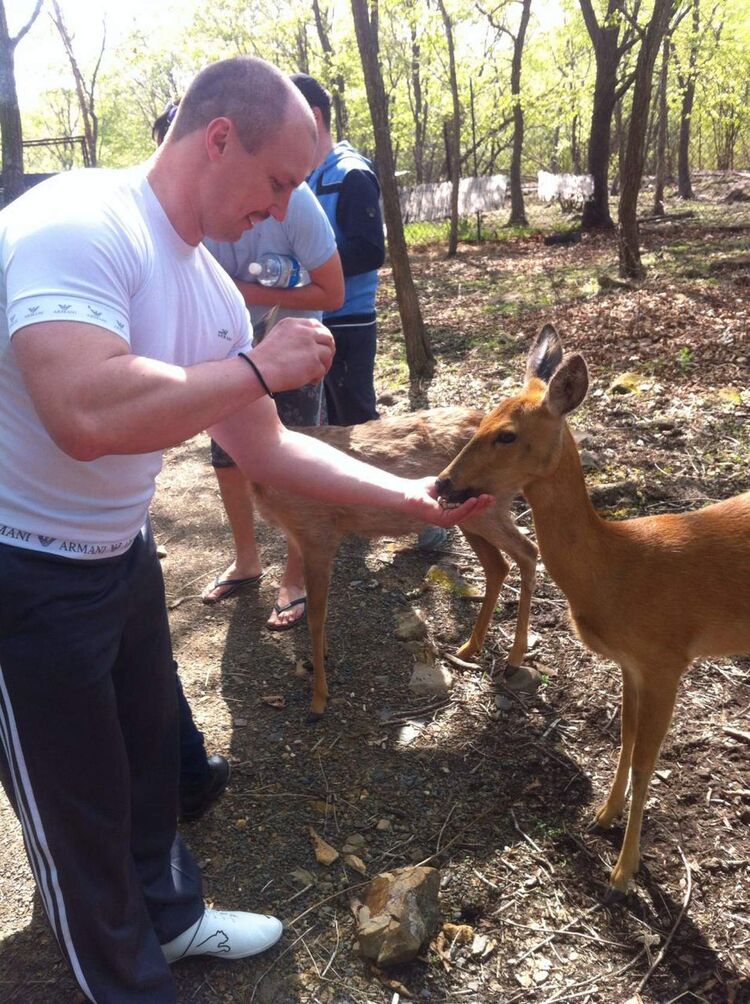 ���������� ������, ���� ������� ������, 46 ���, ������������ ��� ������, ����� � ���������