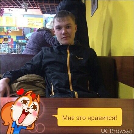  8445603  , 28 ,    -