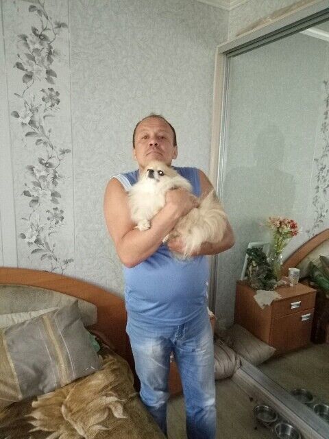 ���������� �������, ���� ������� �����, 50 ���, ������������ ��� ����� � ���������, c�������� ���������