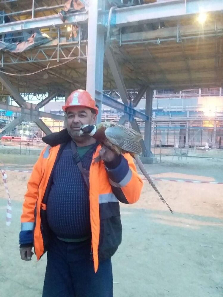 ���������� ������, ���� ������� �������, 56 ���, ������������ ��� ������, ����� � ���������