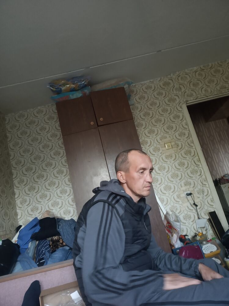 44397233  , 44 ,    
