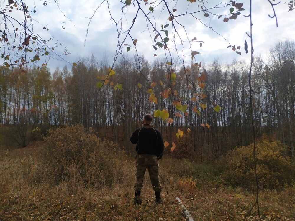 ���������� ������, ���� ������� �������, 39 ���, ������������ ��� ������, ����� � ���������, c�������� ���������, ���������