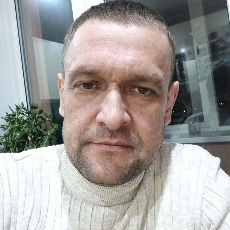  42288213  , 41 ,    