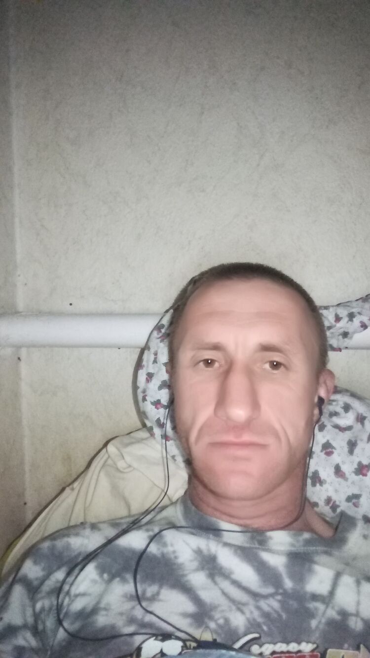  33499483  , 40 ,    