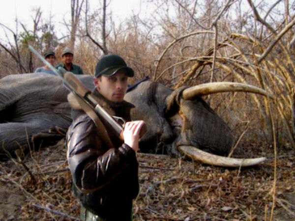 ���� 6241943 ������� ����������, 43 ����, ���� ���������� � ���������